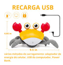 Caranguejo Divertido